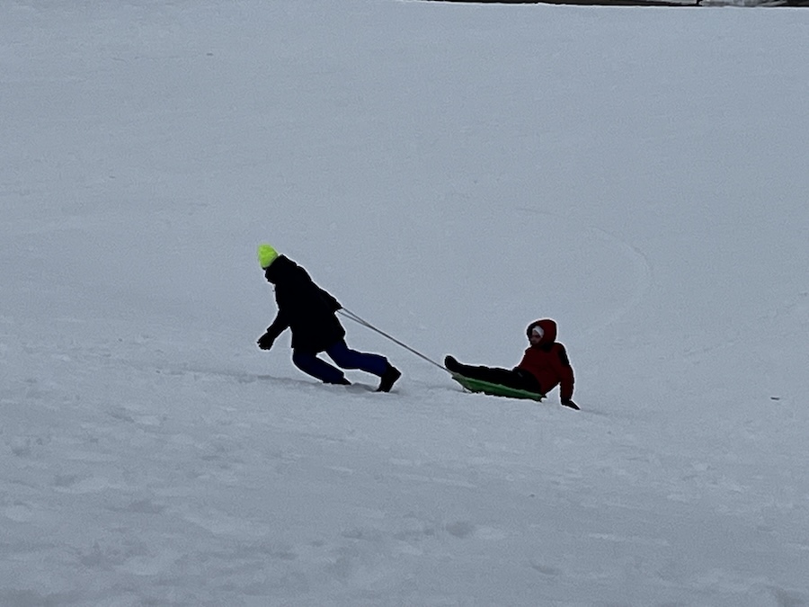 education of henry :: 817