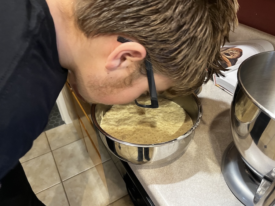 education of henry :: 817